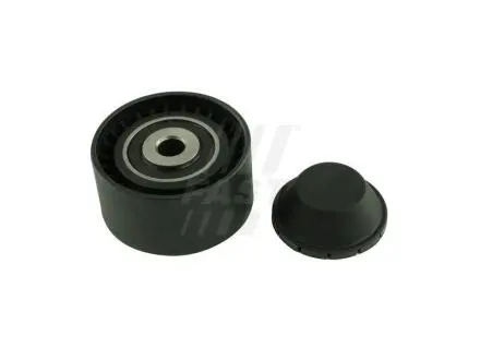 60x10x30 Ролик паска приводного Renault Espace IV, Laguna II, III, Master IV 2.0dCi/2.3dCi 05- FAST FT44644 (фото 1)