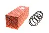 Пружина (передня) Skoda Roomster 1.2/1.2TSI/1.4/1.6 06-15 FEBI BILSTEIN 174725