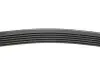 Ремінь генератора MB E-class (W124/S124) M104 93-96 (6PK2412) HUTCHINSON 2412 K 6 (фото 2)