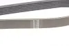 Ремінь генератора Citroen Berlingo/Peugeot Partner 1.6HDi 09- (6PK1020)(замінено 1020 К 6) 1020 KA 6 HUTCHINSON 1020KA6 (фото 3)