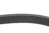 Ремінь генератора BMW 5 (E39)/7 (E38) 3.5i/4.0i 96-03 (7PK1635) 1637 K 7 HUTCHINSON 1637K7 (фото 2)