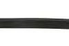 Ремінь генератора Fiat Scudo 1.6/Renault Kangoo 1.9D 97- (6PK894) 894 K 6 HUTCHINSON 894K6 (фото 3)