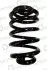 CS GERMANY 14101254 Пружина задня BMW X3 E83 04- 14101254