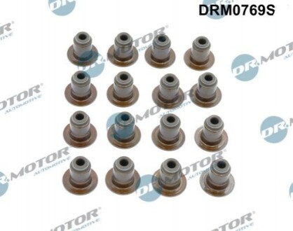 DRMOTOR К-т сальникiв клапанiв 16шт DR. MOTOR DRM0769S