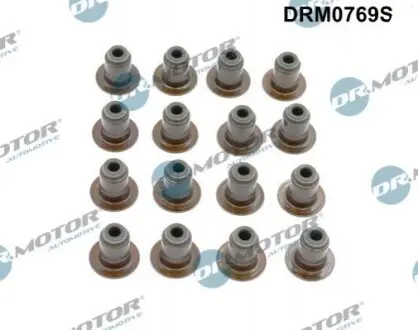 DRMOTOR К-т сальникiв клапанiв 16шт DR. MOTOR DRM0769S