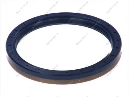 EL ELRING 210.294