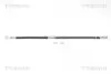 TRISCAN 815010111 Шланг гальмівний .перед. Mitsubishi Carisma 96-06 Space Star 98- Volvo S40 V40 95-03 480mm 815010111