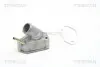 TRISCAN 86209392 Термостат Opel Astra F 1.8XE/2.0XE 93-/Omega B 94- 86209392