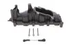 Колектор впускний Audi A4/A6/A8 2.7-3.0TDI 04-11 (L) GAZO GZ-E1109 (фото 1)