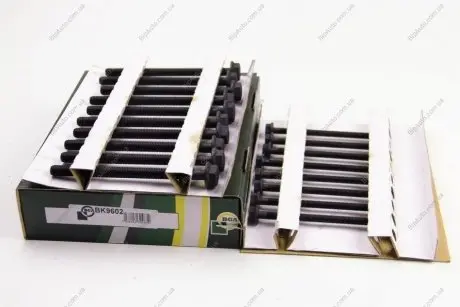 Болти головки блоку Jumper/Boxer/Transit 2.2 Hdi/TDCi 06- (к-кт) BGA BK9602
