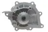 Комплект ГРМ + помпа Citroen C5/C6/C8/Fiat/Ford/Peugeot 2.2HDI 06- (25.4x118z) 1 987 946 496 BOSCH 1987946496 (фото 14)