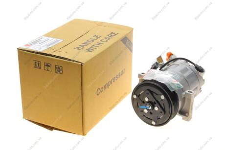 Компресор кондиціонера Renault Scenic III/Megane III 1.2/1.6dCi 11- Van Wezel 4300K630