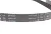 Комплект ременя генератора Ford Focus 2.5 ST 05-12, (5PK890 + 5PK848) INA 529 0477 10 (фото 2)
