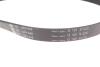 Комплект ременя генератора Ford Focus 2.5 ST 05-12, (5PK890 + 5PK848) INA 529 0477 10 (фото 3)