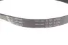 Комплект ременя генератора Ford Focus 2.5 ST 05-12, (5PK890 + 5PK848) INA 529 0477 10 (фото 3)