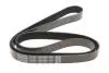 Ремінь генератора Renault Kangoo/Megane III/Scenic III 1.2TCe 12- (7PK1569) DAYCO 7PK1569