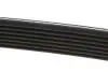 Ремінь генератора Renault Kangoo/Megane III/Scenic III 1.2TCe 12- DAYCO 7PK1569 (фото 3)