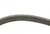 Комплект ременя генератора Citroen Berlingo/Jumpy/Fiat Scudo/Peugeot Partner/306/Expert 1.9D 98-15 CONTINENTAL Contitech 6PK1440K1 (фото 2)