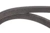 Комплект ременя генератора Hyundai Elantra III/Santa Fe I-II/Sonata V 2.0D/2.2D 01- CONTINENTAL Contitech 6PK1515K1 (фото 3)