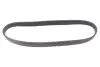 Ремінь генератора VW Crafter/T6 2.0 TDI 15- (6PK868) CONTINENTAL Contitech 6PK868 ELAST (фото 1)