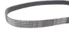 Ремінь генератора VW Crafter/T6 2.0 TDI 15- (6PK868) CONTINENTAL Contitech 6PK868 ELAST (фото 4)
