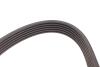 Комплект ременя генератора Ford Mondeo IV 2.2 TDCi 08-15, (6PK 1745) 529 0518 10 INA 529051810 (фото 12)
