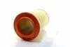 SHAFER SX2059 Фiльтр повiтряний Fiat Ducato/Citroen Jumper III/Peugeot Boxer III 2.2,3.0Hdi 06-