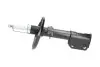 Амортизатор (передній) Renault Scenic III 09- PARTS KAVO SSA-10221 (фото 4)