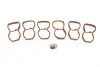 Прокладка колектора впускного BMW 3 (F30/F80)/5 (F10)/7 (F01/F02/F03/F04)/X5 (E70/F15/F85) 10- N57 AUTOTECHTEILE 701 1147