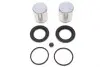 Ремкомплект супорта (переднього) Mazda CX-7/CX-9 07- (d=45mm) (+2 поршня) (Advics) QUICK BRAKE 114-5328