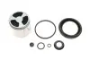 Ремкомплект супорта (заднього) Iveco Daily 06-14 (d=60mm) (+поршень) (Brembo) QUICK BRAKE 114-5336