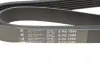 Ремінь генератора 6PK1560 BMW HUTCHINSON 1560 K 6 (фото 5)