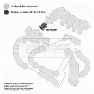 Патрубок BORG&BECK BORG & BECK BTH1239