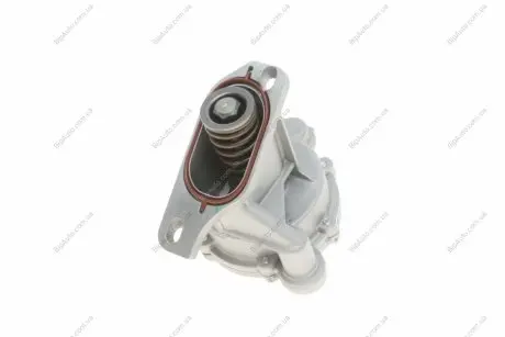 Насос вакуумний VW LT/T4/Crafter 2.5TDI SOLGY 109002