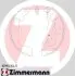 ZIMMERMANN 109901545 Гальмiвнi колодки барабаннi 109901545