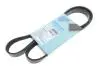 Ремінь генератора Fiat Palio 1.2 97-/Land Rover Freelander 1.8i 98-06/ Toyota Corolla 2.0 D-4D 97-04 BLUE PRINT AD05R1188