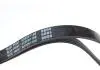 Ремінь генератора Fiat Palio 1.2 97-/Land Rover Freelander 1.8i 98-06/ Toyota Corolla 2.0 D-4D 97-04 BLUE PRINT AD05R1188 (фото 2)