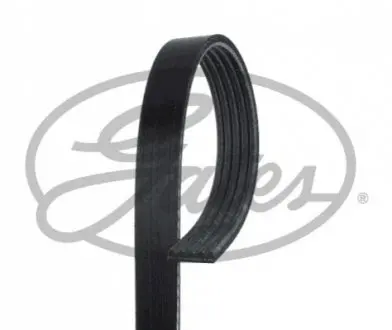 Ремінь Gates 5PK768