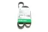 Ремінь генератора Ford Focus 1.8 TDCi 05-12/Skoda Octavia 1.4 i 99-01 (6PK1520) INA FB 6PK1520 (фото 1)