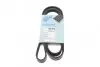 BLUE PRINT ремінь 4PK1538 AD04R1538 BLUE PRINT AD04R1538