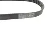 Доріжковий пас Contitech 5PK628 ELAST (фото 3)