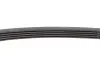 Доріжковий пас Contitech 5PK628 ELAST (фото 4)