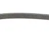 Ремінь генератора Citroen DS5/Peugeot 3008/508 I 2.0DH 10-18 CONTINENTAL Contitech 6PK1080 EXTRA (фото 4)