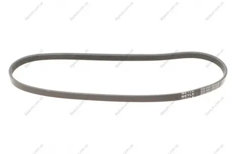 Ремінь генератора Fiat Ducato/Peugeot Boxer 2.2JTD/HDi 06- (4PK922) MEYLE 050 004 0922/E
