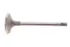 Клапан (впуск) VW Caddy II/T4 1.9D 92-04 (36x7x95.5) MAHLE 029 VE 30900 000