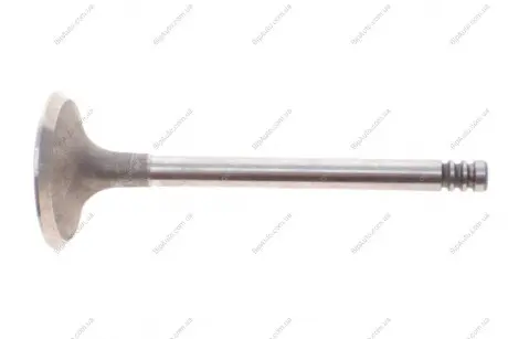 Клапан (впуск) VW Caddy II/T4 1.9D 92-04 (36x7x95.5) MAHLE MAHLE / KNECHT 029 VE 30900 000