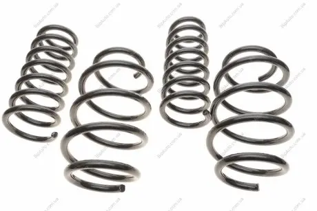 Фото комплект пружин (Pro-Kit) BMW X3 (G01/F97) 3.0 (B57/B58)/X4 (G02/F98) 3.0 (B57/B58) 17- (4 шт.) EIBACH E10-20-040-02-22 Комплект пружин (Pro-Kit) BMW X3 (G01/F97) 3.0 (B57/B58)/X4 (G02/F98) 3.0 (B57/B58) 17- (4 шт.) EIBACH E10-20-040-02-22
