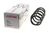 Пружина (передня) Seat Exeo 1.8T 08-10 (седан/универсал) (без спорт.ход.ч) LESJOFORS 4082938 (фото 1)