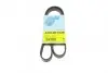 BLUE PRINT ремінь П-клиновий 4PK1025 AD04R1025 BLUE PRINT AD04R1025