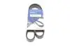 Ремінь генератора VW Polo/Up 11-/Skoda Fabia 14-/Seat Ibiza 1.0/1.6 15- (6PK989) HUTCHINSON 989 SK 6